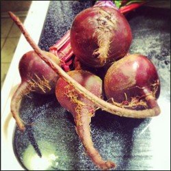 beets increase testosterone levels