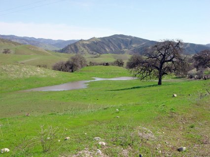 Examples of types of soil