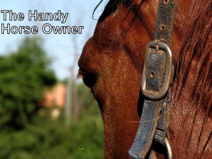 The Handy Horse Owner