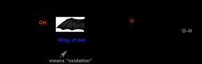 2-oxidation