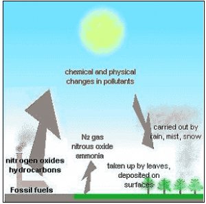 About Nitrous Oxide