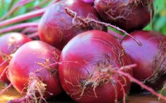 Beets | Image courtesy of 