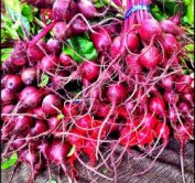 beets nitric oxide and heart health