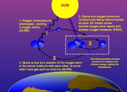 ozone-oxygen cycle