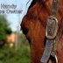Magnesium oxide for horses