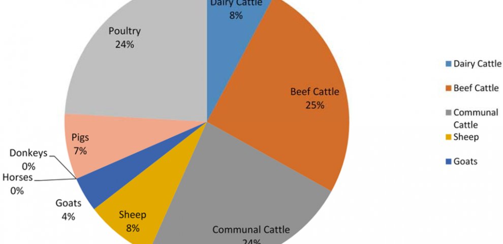 Nitrous oxide emissions