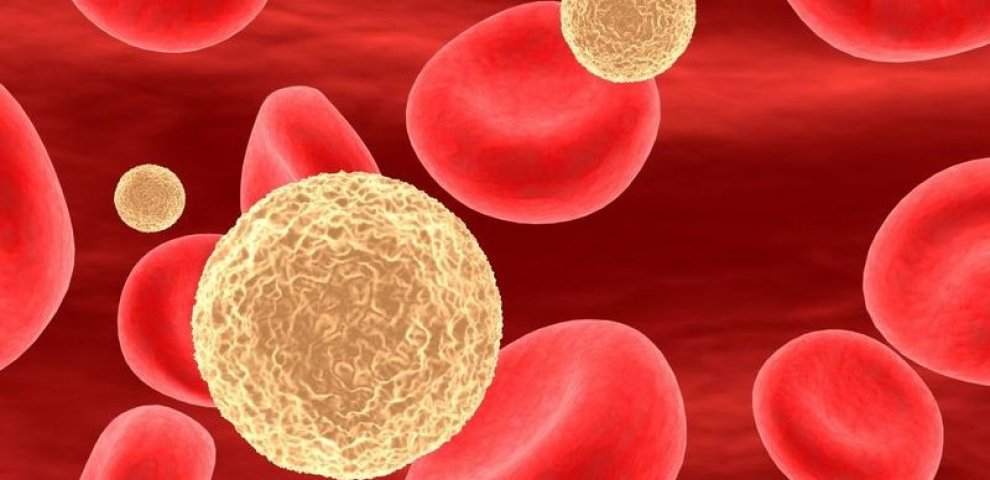 Oxidized cholesterol