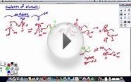 341 and 343 Oxidation of primary alcohols to carboxylic