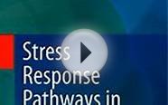 Download Stress Response Pathways in Cancer Ebook {EPUB