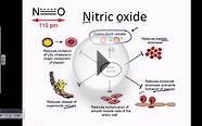 Nitric oxide - benefits and side effects