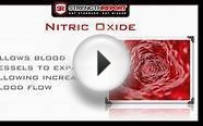 Nitric Oxide Supplements | StrengthReport.com