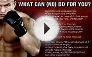 Xtreme No Nitric Oxide Supplements - Best Muscle Building